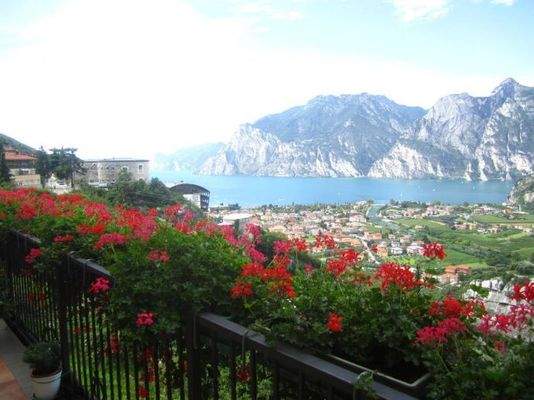 (FILEminimizer) IMG_8523