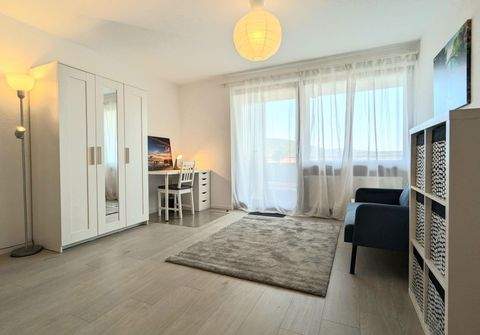 Heidelberg Wohnungen, Heidelberg Wohnung mieten