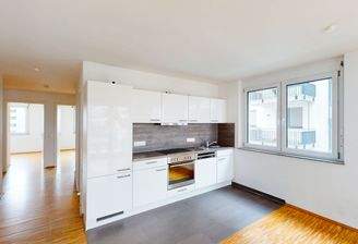 moderne Einbauküche