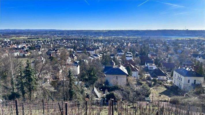 Blick aus dem Weinberg über Radebeul