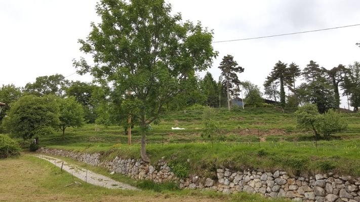 Baugrund in Campi