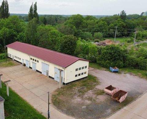 Ohrdruf Halle, Ohrdruf Hallenfläche