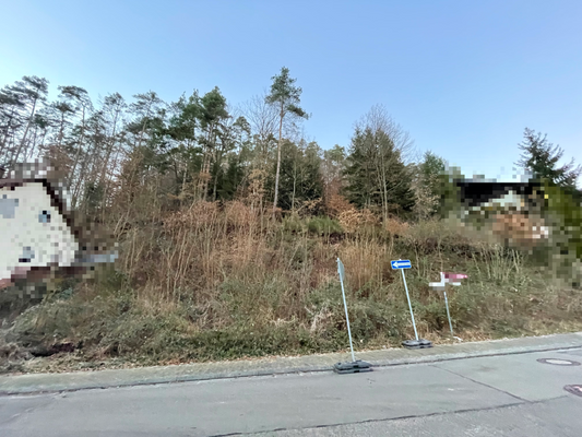 Grundstück Weidenthal