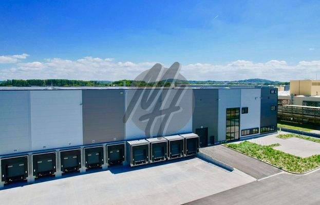 INFOS UNTER: 06171-586000