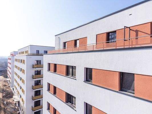 AM NEUEN PARK März 25 (23)