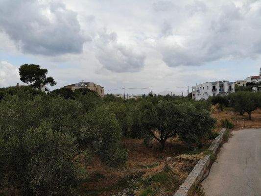 Kreta, Almyrida: Grundstück in Strandnähe mit Meerblick zu verkaufen