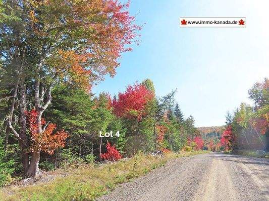 Nova Scotia - West Side Country Harbour - Preiswer