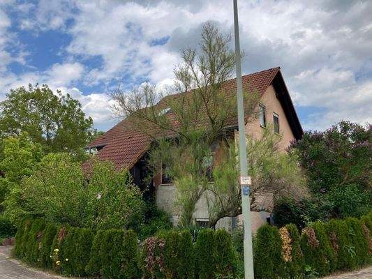 Seitenansicht rechts