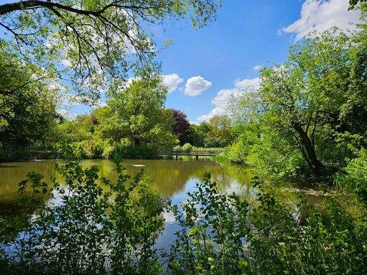Blick vom GS auf Weiher_b
