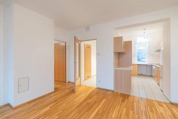 Blick zu Küche und Vorraum