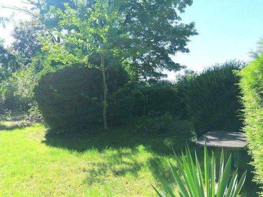 gewachsenes Grundstück