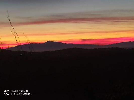 Abendstimmung auf der Terrasse.jpg