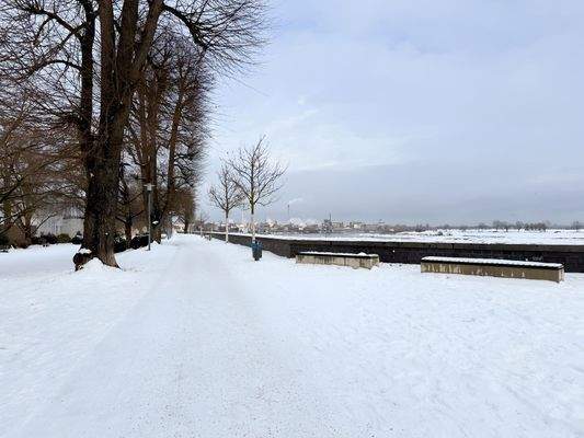 Rheinpromenade (unmittelbar hinter dem Haus)