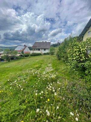 Baugrundstück (2).jpg