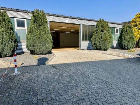 Herzberg am Harz Halle, Herzberg am Harz Hallenfläche