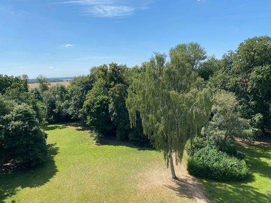 Blick in den Park.jpeg