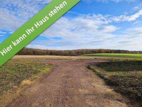 Harbke Häuser, Harbke Haus kaufen