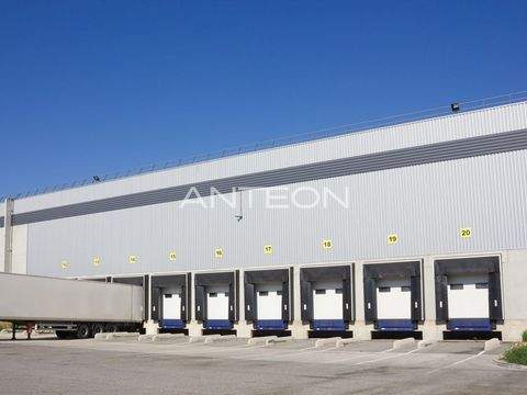 Duisburg Halle, Duisburg Hallenfläche