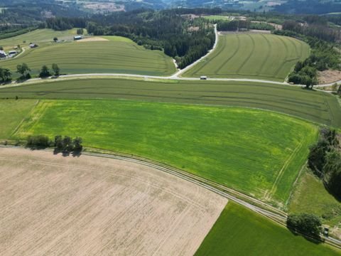 Presseck Bauernhöfe, Landwirtschaft, Presseck Forstwirtschaft