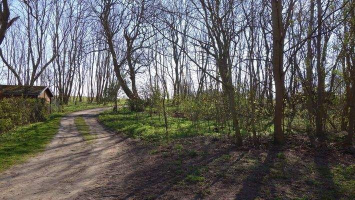 östl Grundstücksanteil