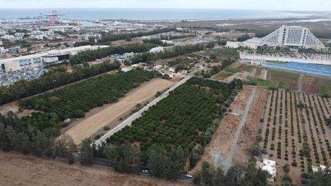 Limassol, Tserkezoi Bauernhöfe, Landwirtschaft, Limassol, Tserkezoi Forstwirtschaft