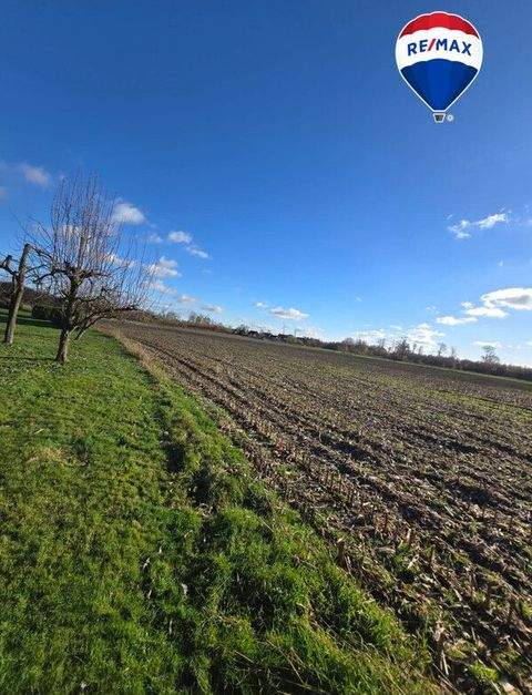Visbek / Rechterfeld Häuser, Visbek / Rechterfeld Haus kaufen