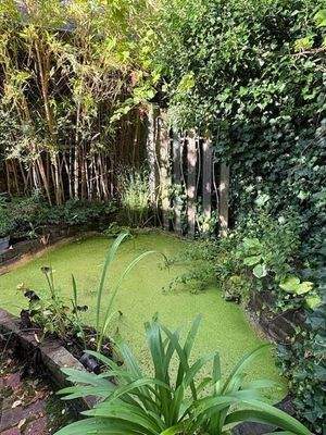 Re-Vitalisierungs-Fläche