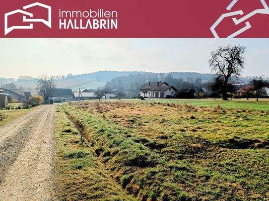 Baugrundstück mit Genehmigung für die Bebauung mit 2 Bungalows (zwei Flurnummern)