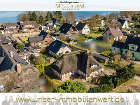 Pogeez Häuser, Pogeez Haus kaufen