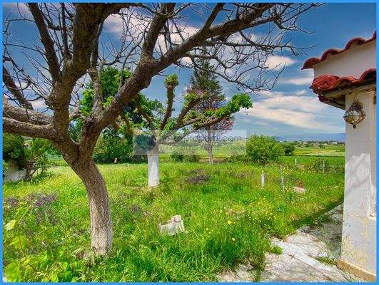 34f4b5c024544b699a71ec0ce5b8dff9-original