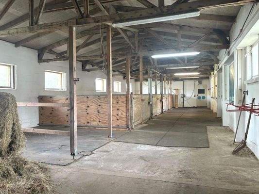 Stall 2.0 - bis zu 6 Boxen