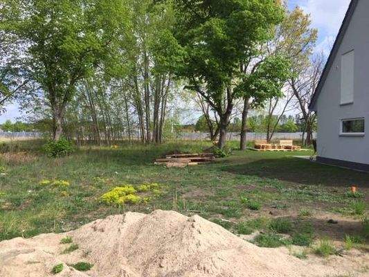 Blick zum Wald und Nachbarn