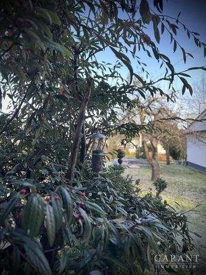 Futterplatz der Vögel