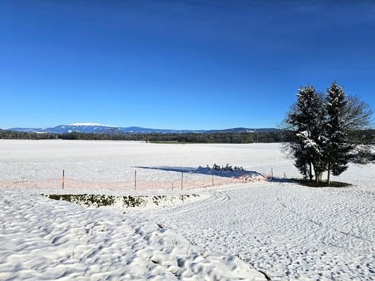 Grundstück und Koralpe im Hintergrund