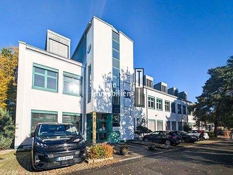 Zirndorf Halle, Zirndorf Hallenfläche