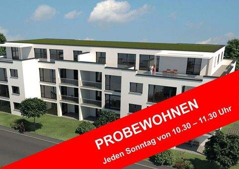 Dauchingen Wohnungen, Dauchingen Wohnung kaufen