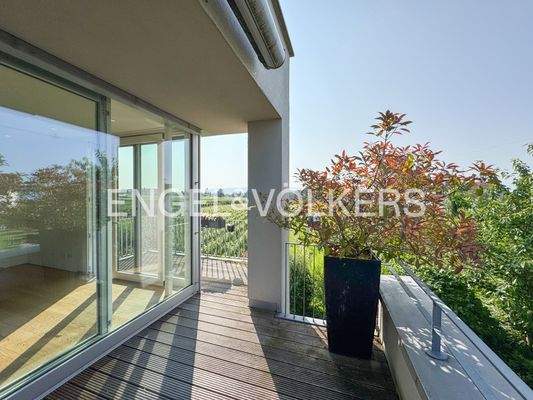 mitten in den Weinreben