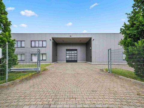 Leipzig Halle, Leipzig Hallenfläche