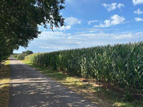 Uchte Bauernhöfe, Landwirtschaft, Uchte Forstwirtschaft