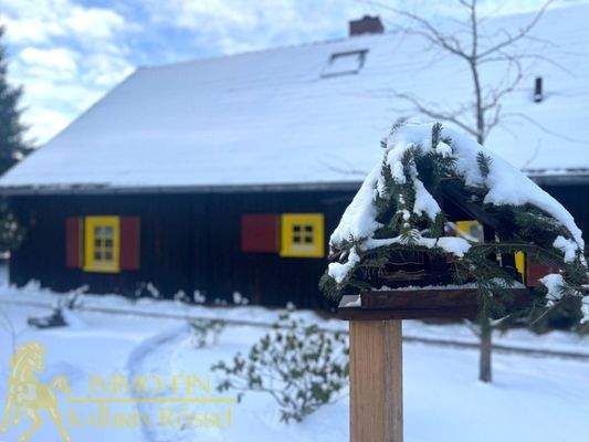 Vogelhaus im Vorgarten 🐦‍⬛