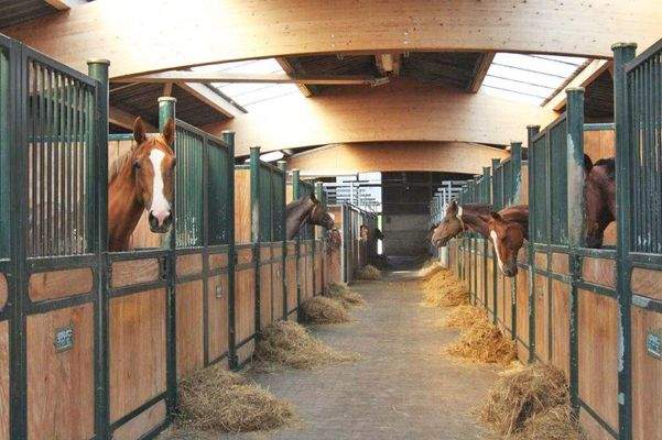 2538MP Frankreich, Vogesen, Epinal, Gestüt, Reitzentrum zu verkaufen