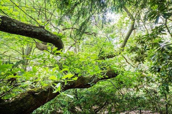 Bauhaus Design Bungalow_Hamburg _Kauf_DSF1651