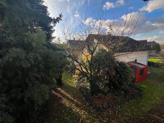 Momentaufnahme Ausblick Wohnzimmer