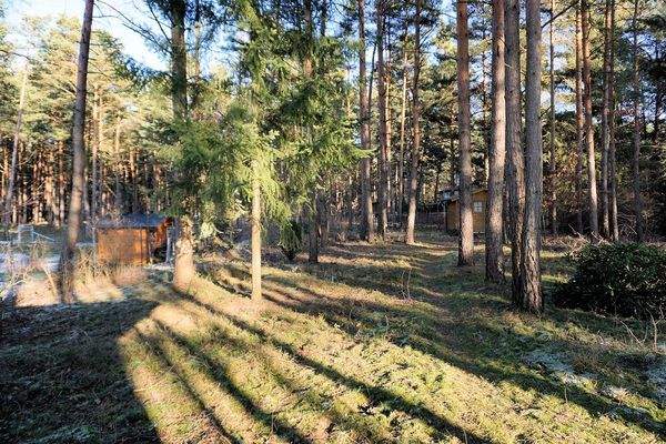 Grundstück vorne (5).JPG