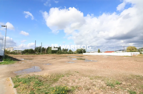 Kirchheim/Teck Halle, Kirchheim/Teck Hallenfläche