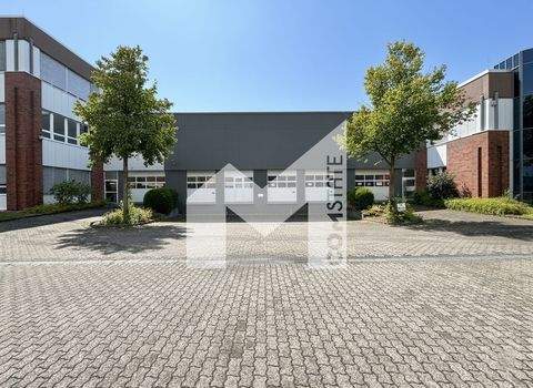 Düsseldorf Halle, Düsseldorf Hallenfläche