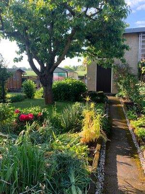 Garten mit Gartenhäuschen