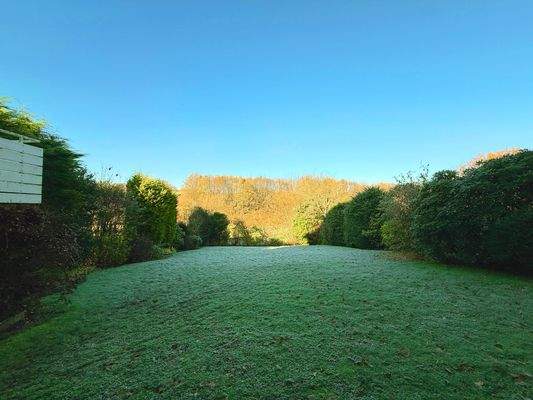 Gartenansicht hinten