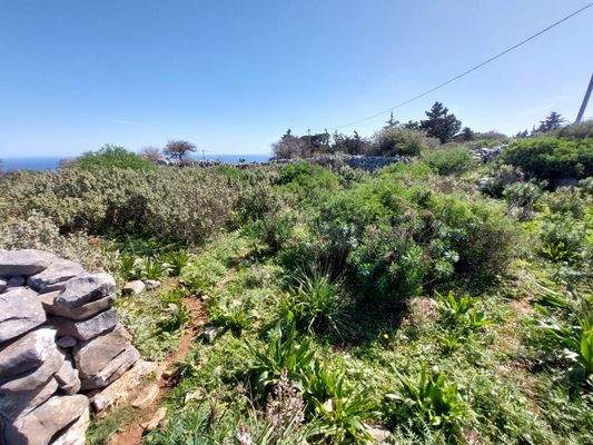 WhatsApp Image 2024-03-12 at 14.15.50_e5d64750.jpg