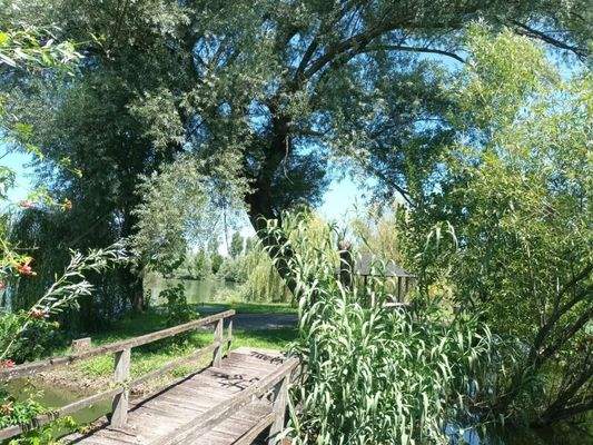 WhatsApp Image 2023-07-22 at 17.53.42